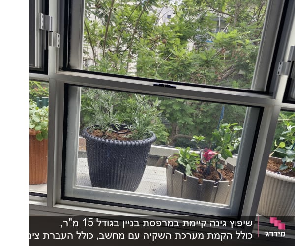 עציצים עם צמחים שונים על אדן חלון